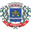 Brasão - Prefeitura de São Pedro do Sul